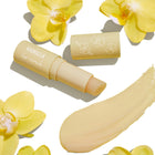 Vanilla - Ready Routine