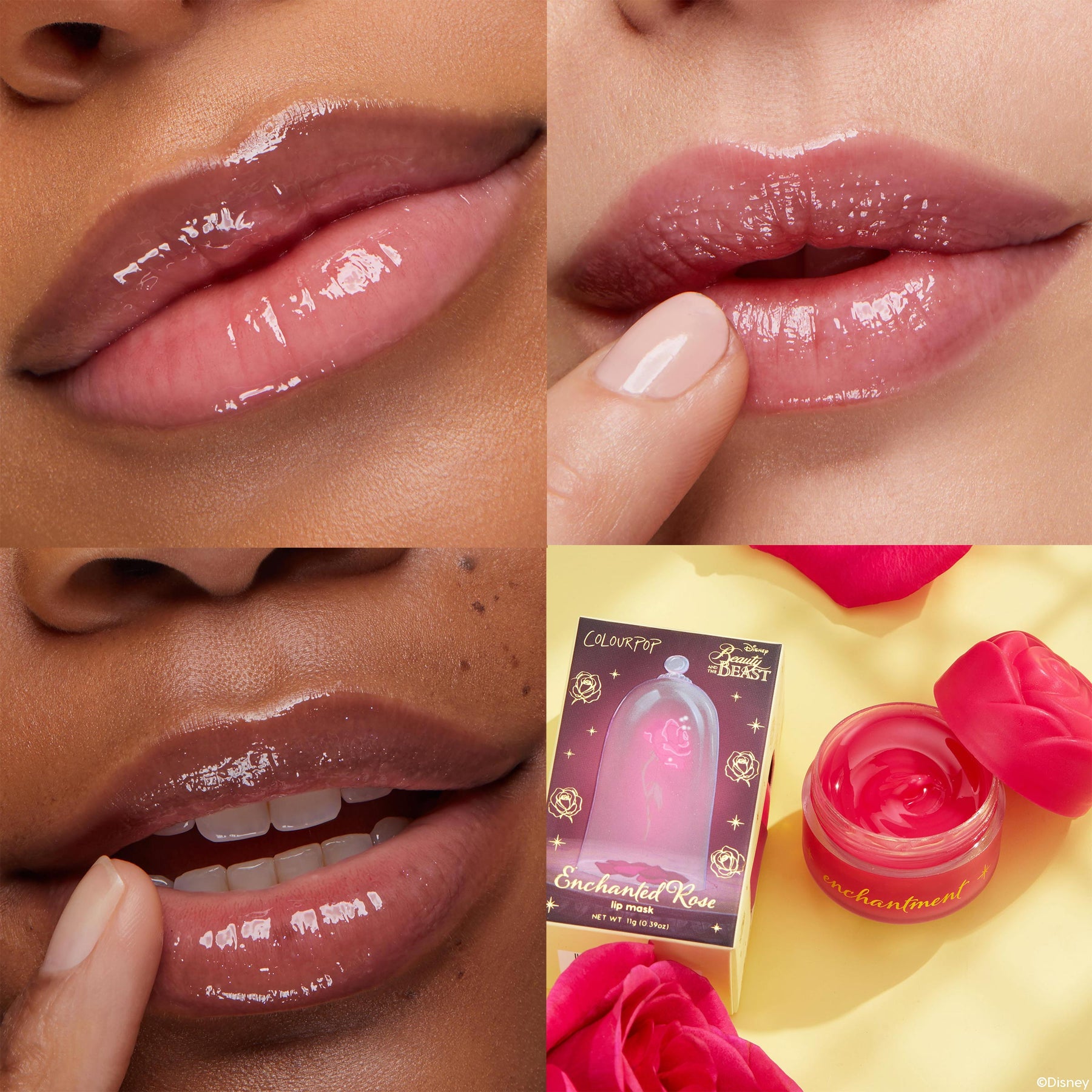 Enchanted Rose - Classic Pick