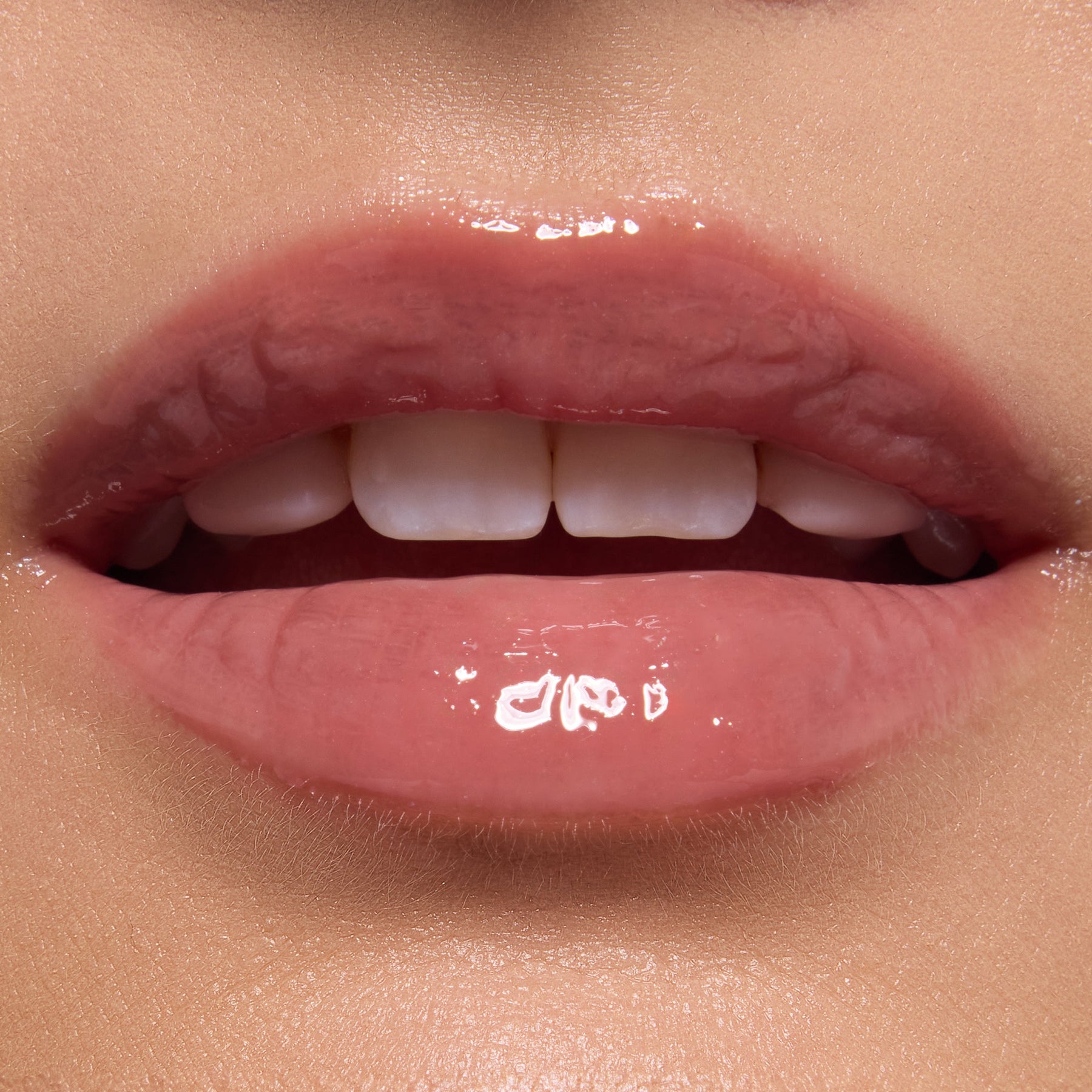 Noble Steed - Gift Ready