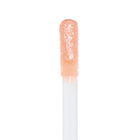Sugar Cookie - Clean Bundle