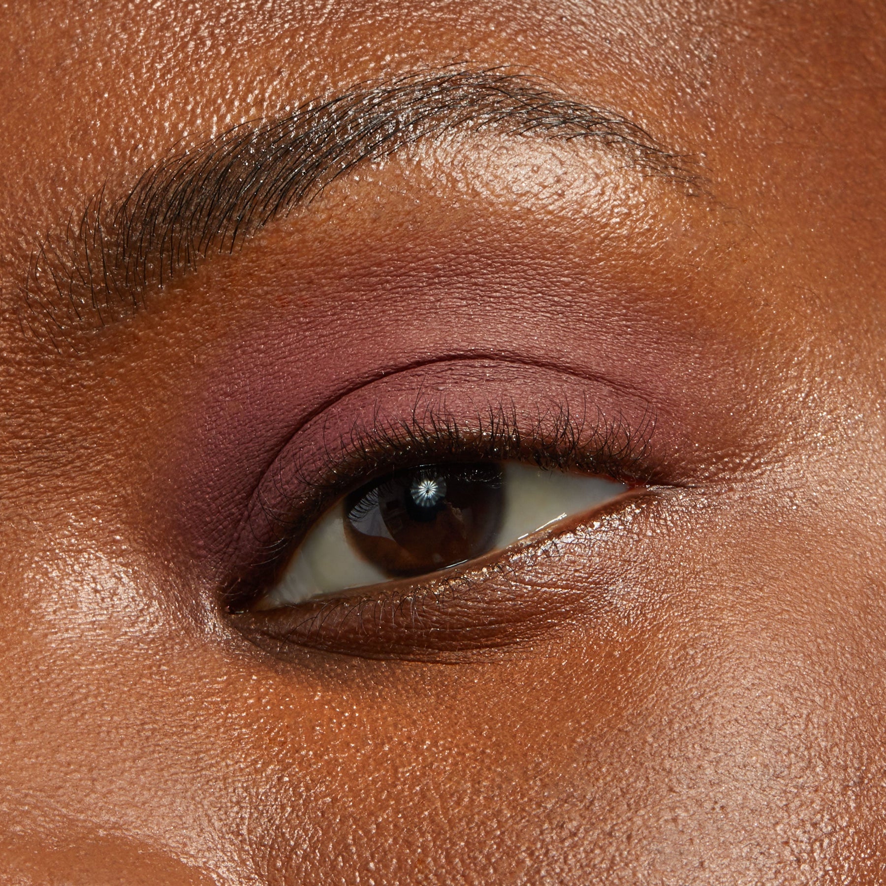Plum Tart - Daily Set